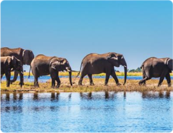 Tarangire National Park