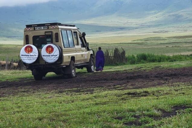 2 Day Tarangire & Ngorongoro Crater Safari